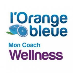 Franchise L&rsquo;Orange bleue, Mon Coach Wellness