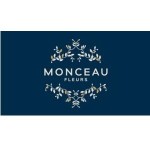 Franchise MONCEAU FLEURS