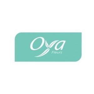 Franchise OYA FLEURS