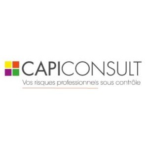 Franchise CAPI CONSULT