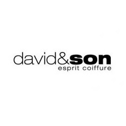 Franchise DAVID & SON