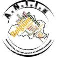Agence Nationale pour l'Implantation et l'Immobilier d'Entreprise (A.N.I.I.E)