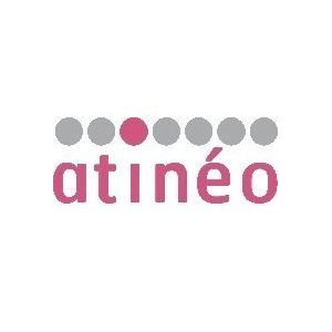 franchise atineo franchise atineo