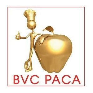BVC Paca
