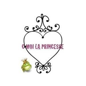 franchise c-moi-la-princesse