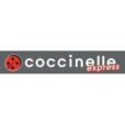 Franchise Coccinelle Express