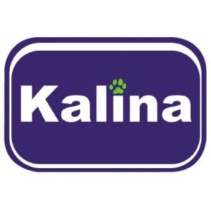 franchise kalina