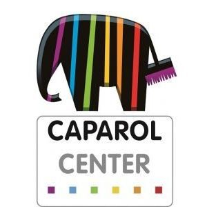 Franchise Caparol Center