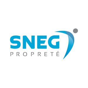 franchise_snegproprete