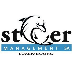 franchise_staermanagement