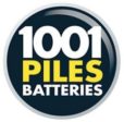 ouvrir une franchise 1001 piles