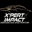 X'PERT IMPACT